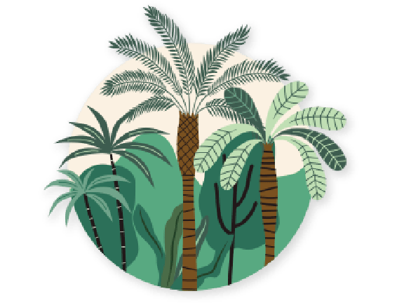 Protects the rainforest