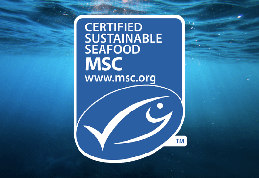 Sustainability at Sea