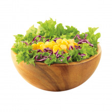 Garden Side Salad 